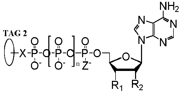Figure imgb0032
