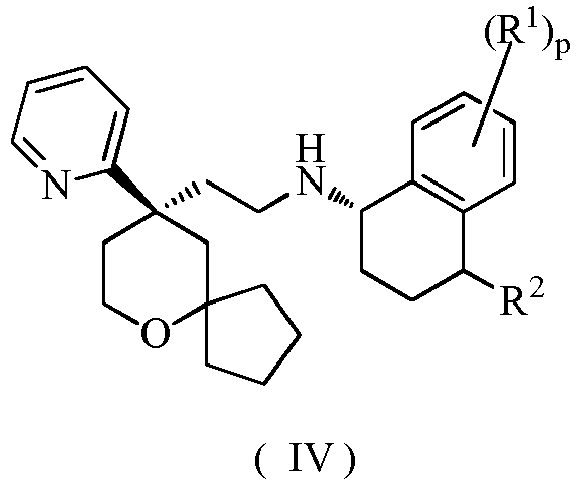 Figure imgb0125