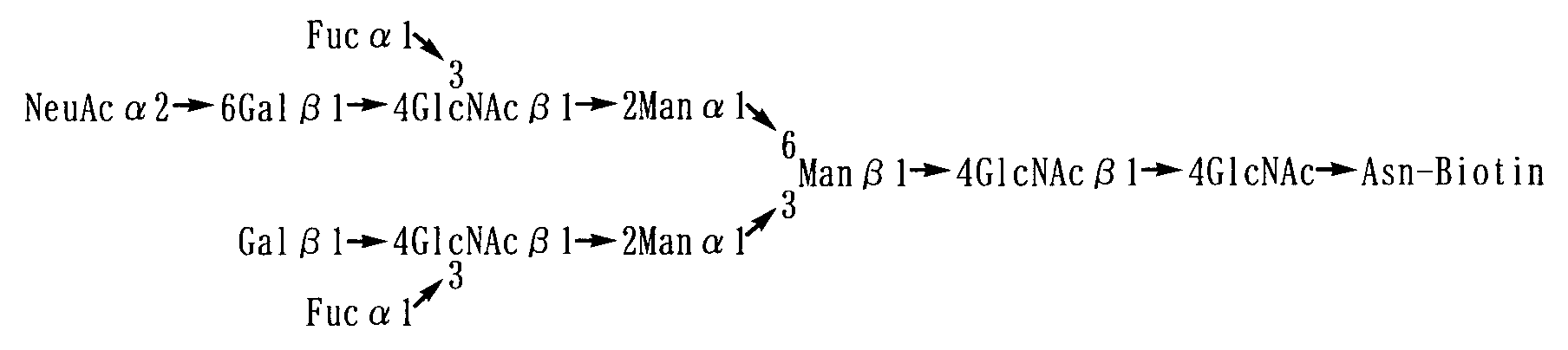 Figure 00820001