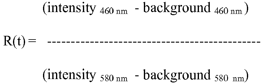 Figure imgb0205