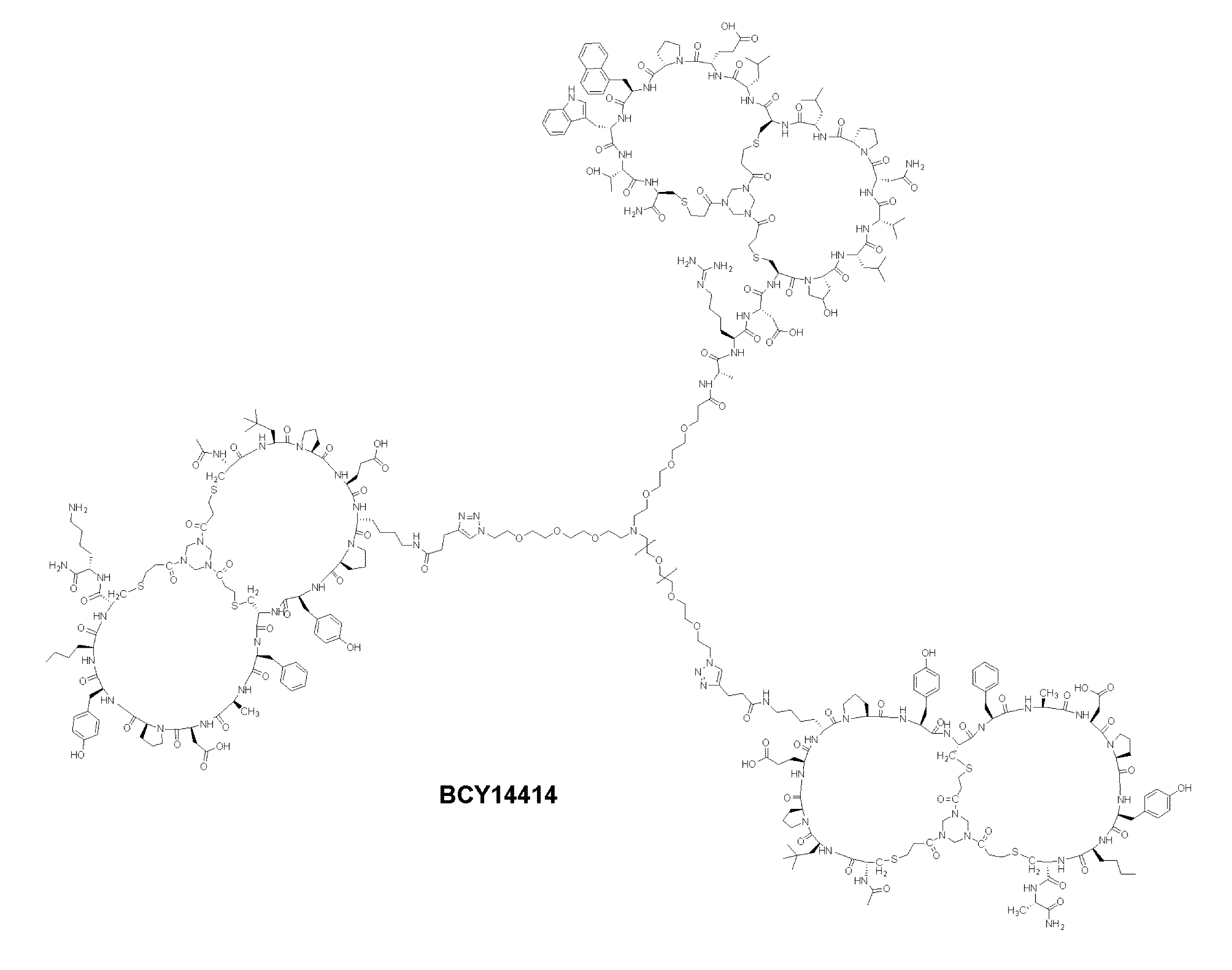 Figure 0007620002000015