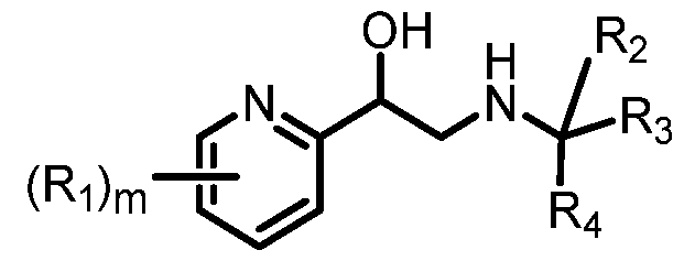 Figure imgf000008_0002