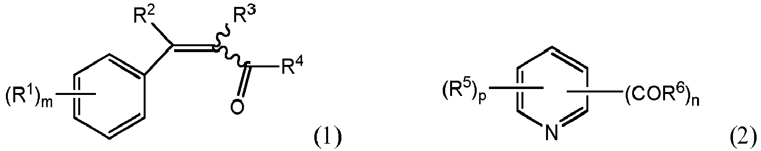 Figure imgb0003
