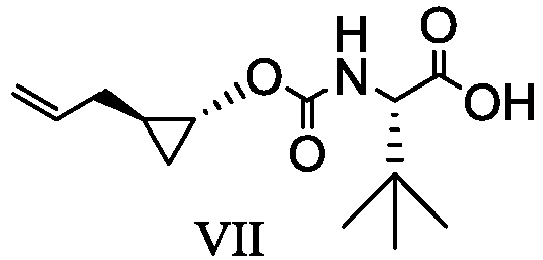 Figure imgb0101