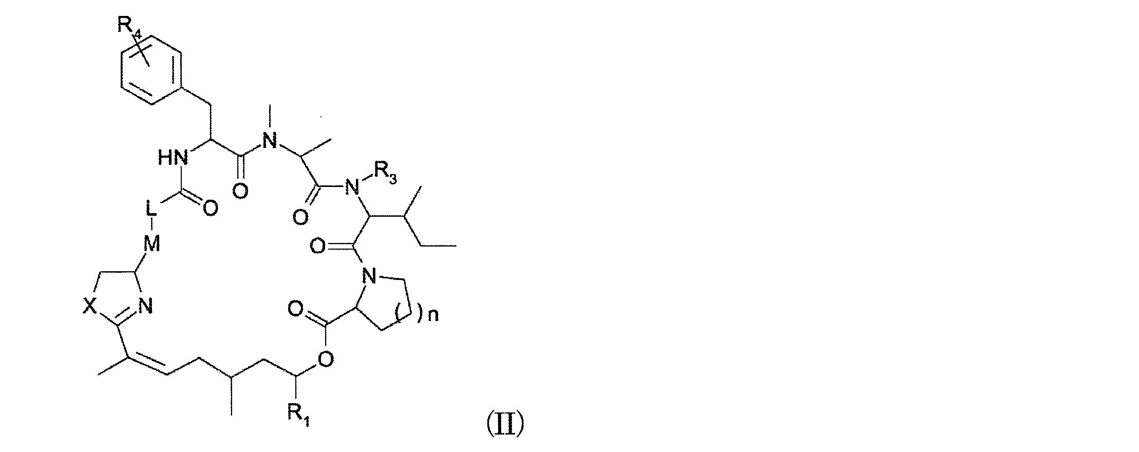 Figure JPOXMLDOC01-appb-C000034