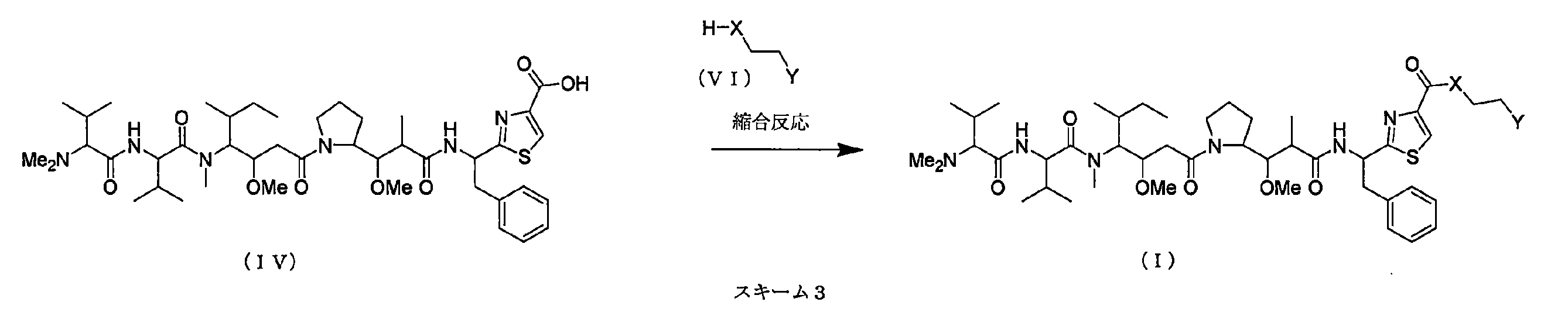 Figure JPOXMLDOC01-appb-C000010