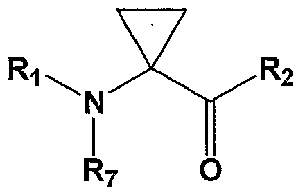 Figure imgf000053_0002