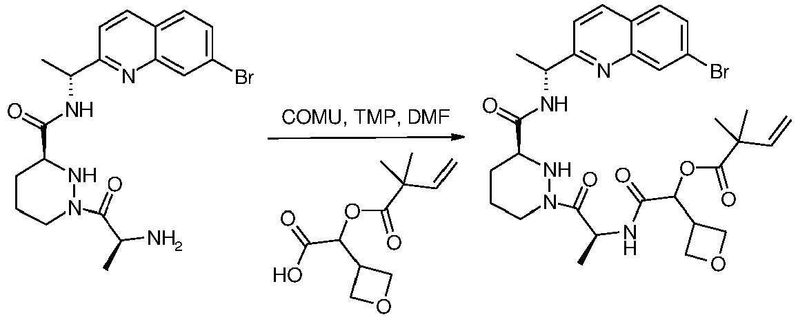 Figure imgb0534