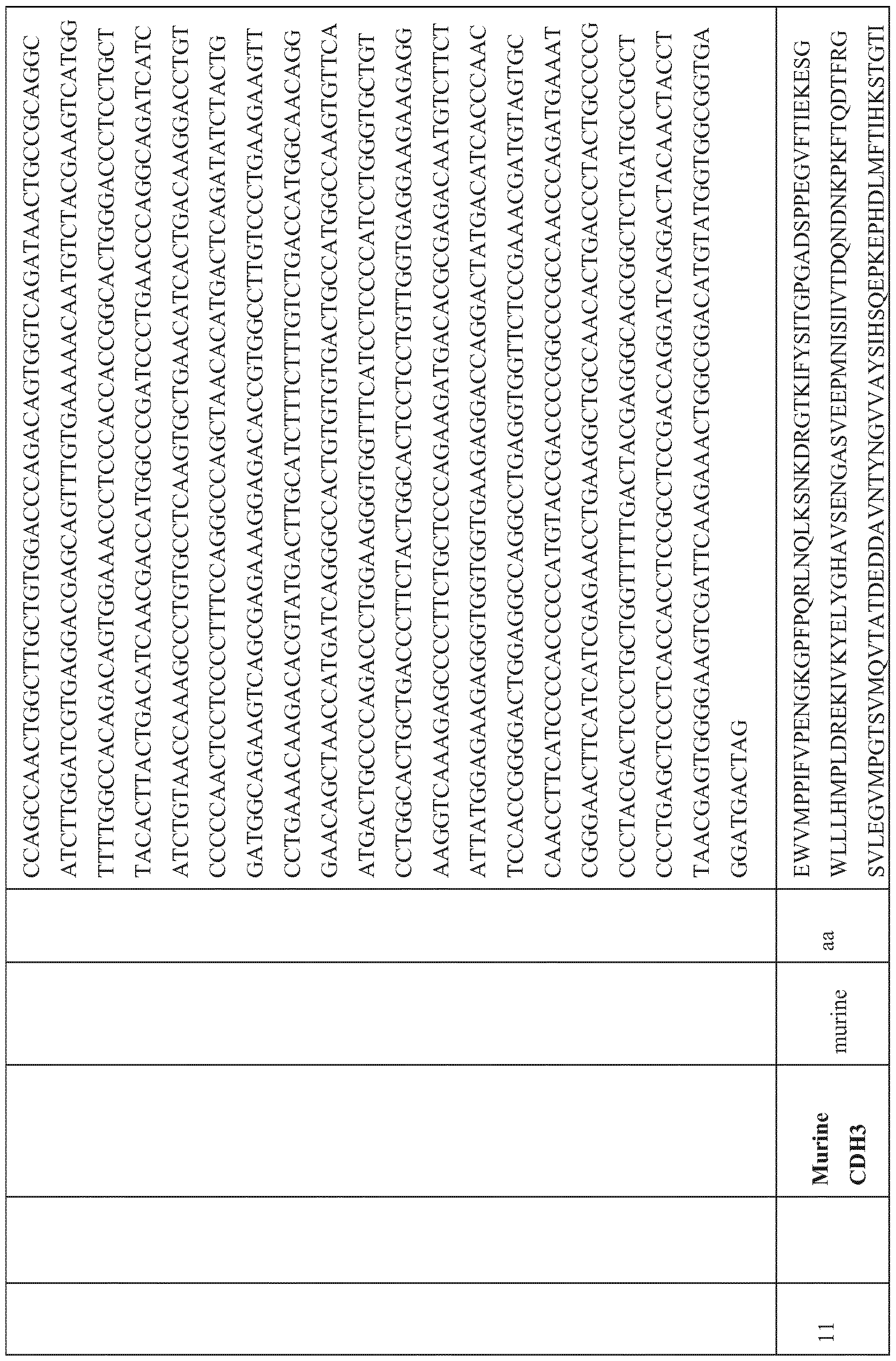 Figure imgf000123_0001