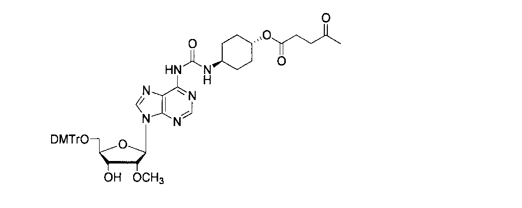 Figure JPOXMLDOC01-appb-C000025