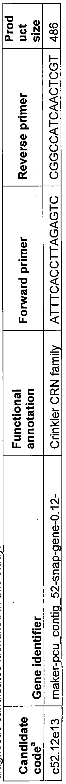 Figure imgf000061_0001
