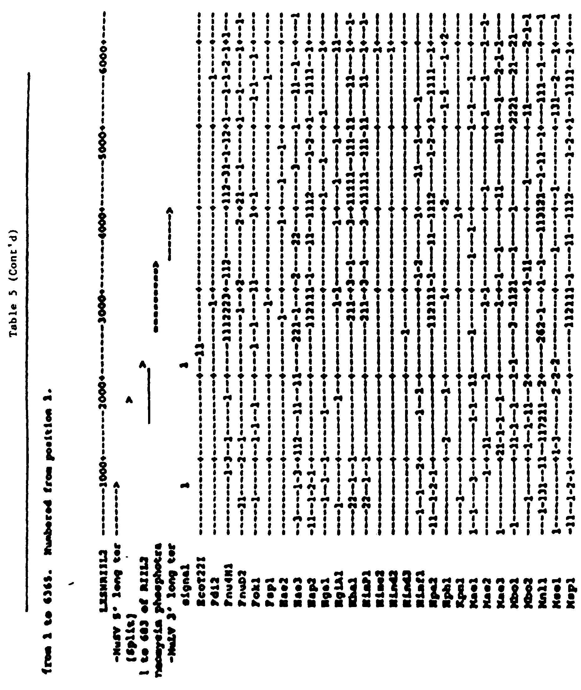 Figure 00440001