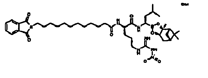 Figure imgb0293
