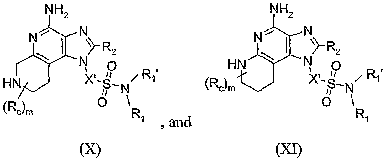 Figure imgf000005_0002