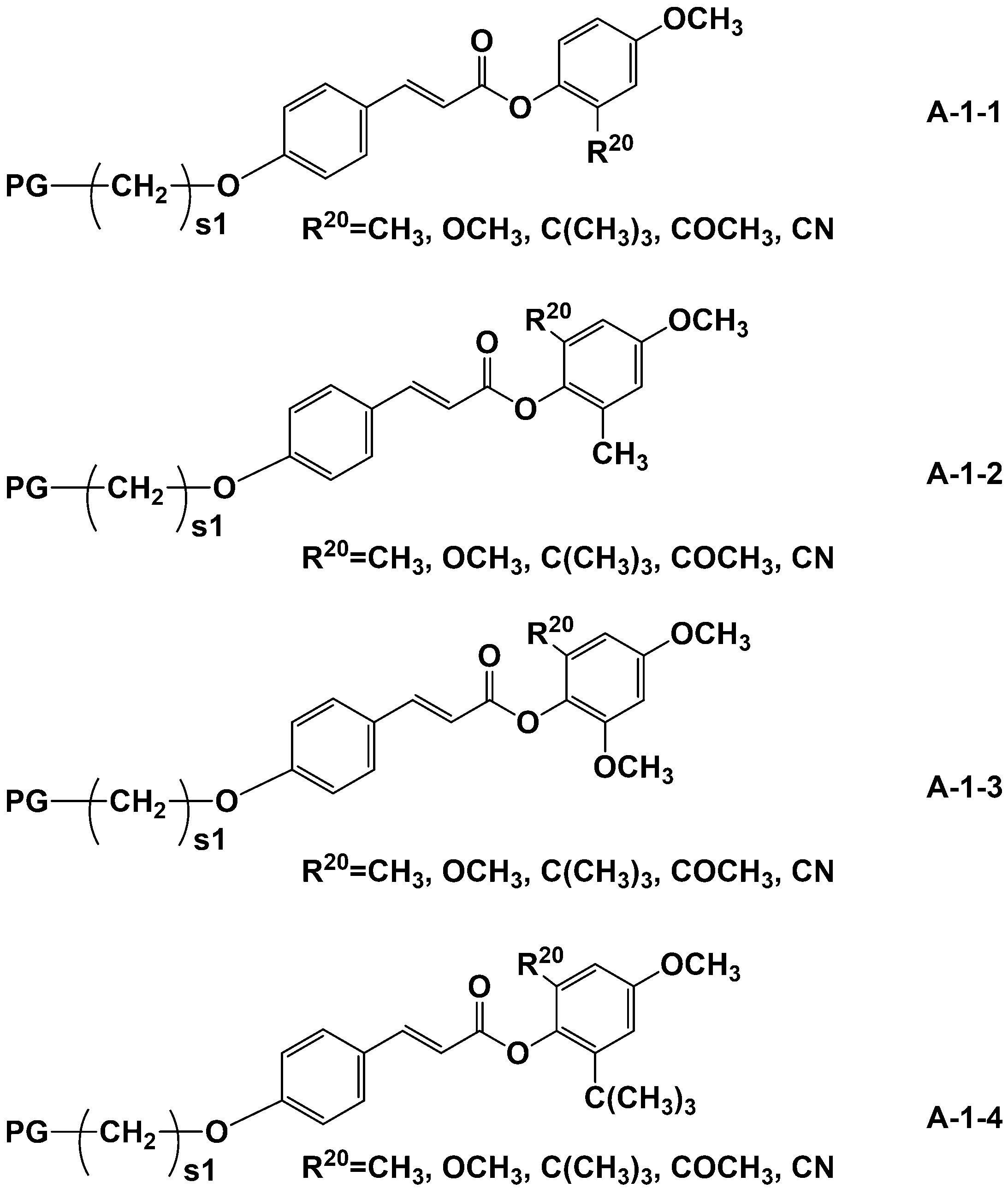 Figure JPOXMLDOC01-appb-C000024
