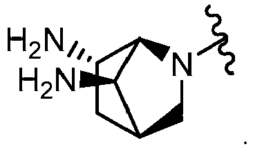 Figure imgb0119