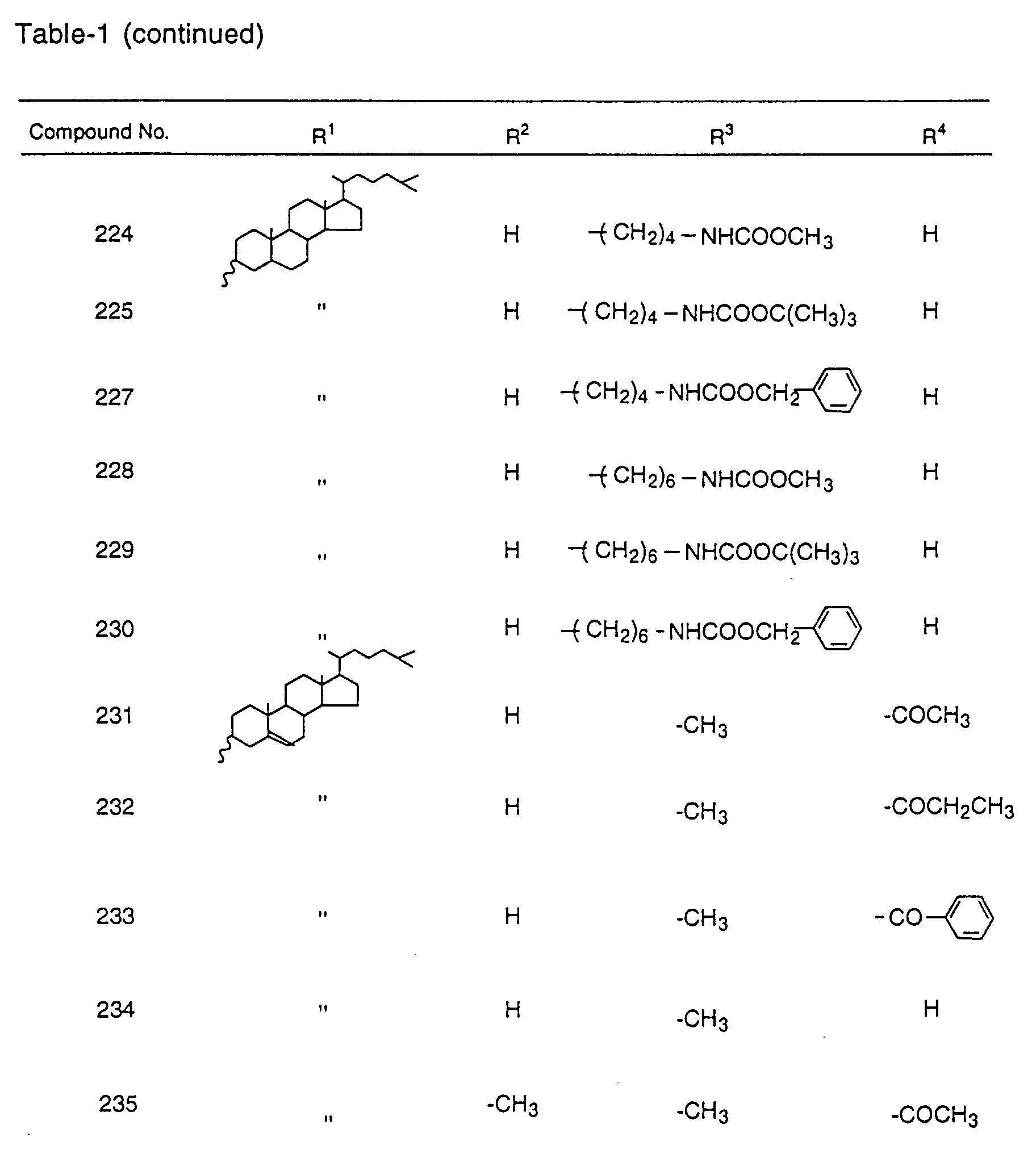Figure 00300001