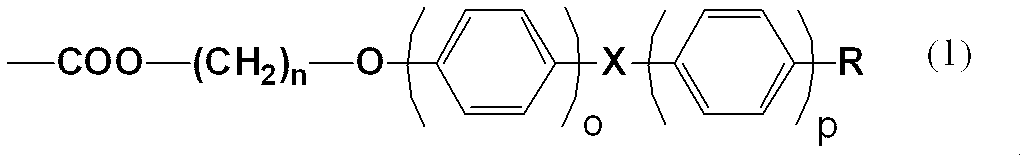 Figure JPOXMLDOC01-appb-C000005