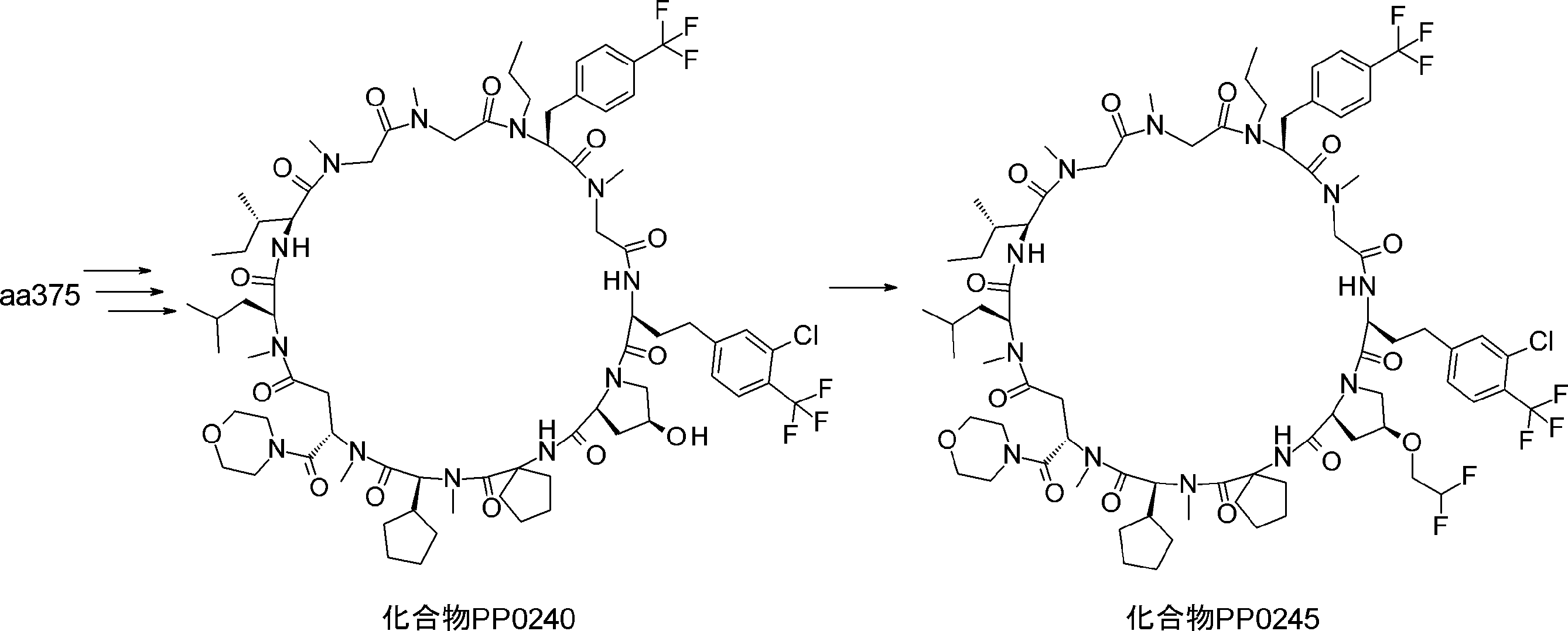 Figure JPOXMLDOC01-appb-I000316