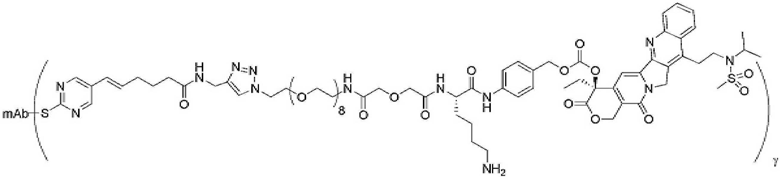 Figure pct00474