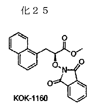 Figure JPOXMLDOC01-appb-C000033