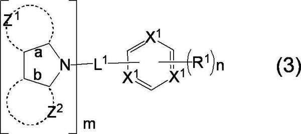 Figure JPOXMLDOC01-appb-C000009