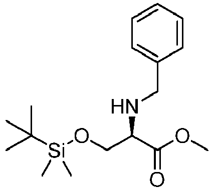 Figure imgb0011