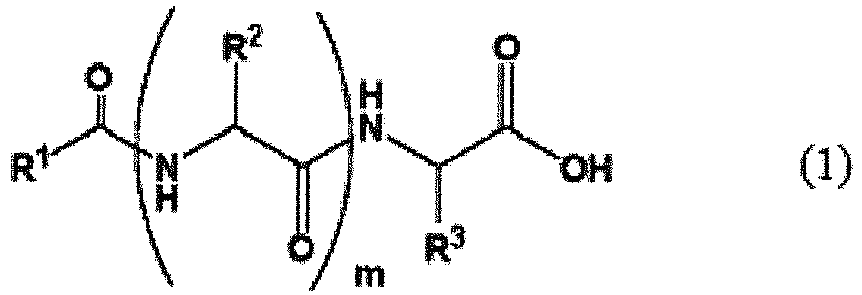 Figure imgb0001