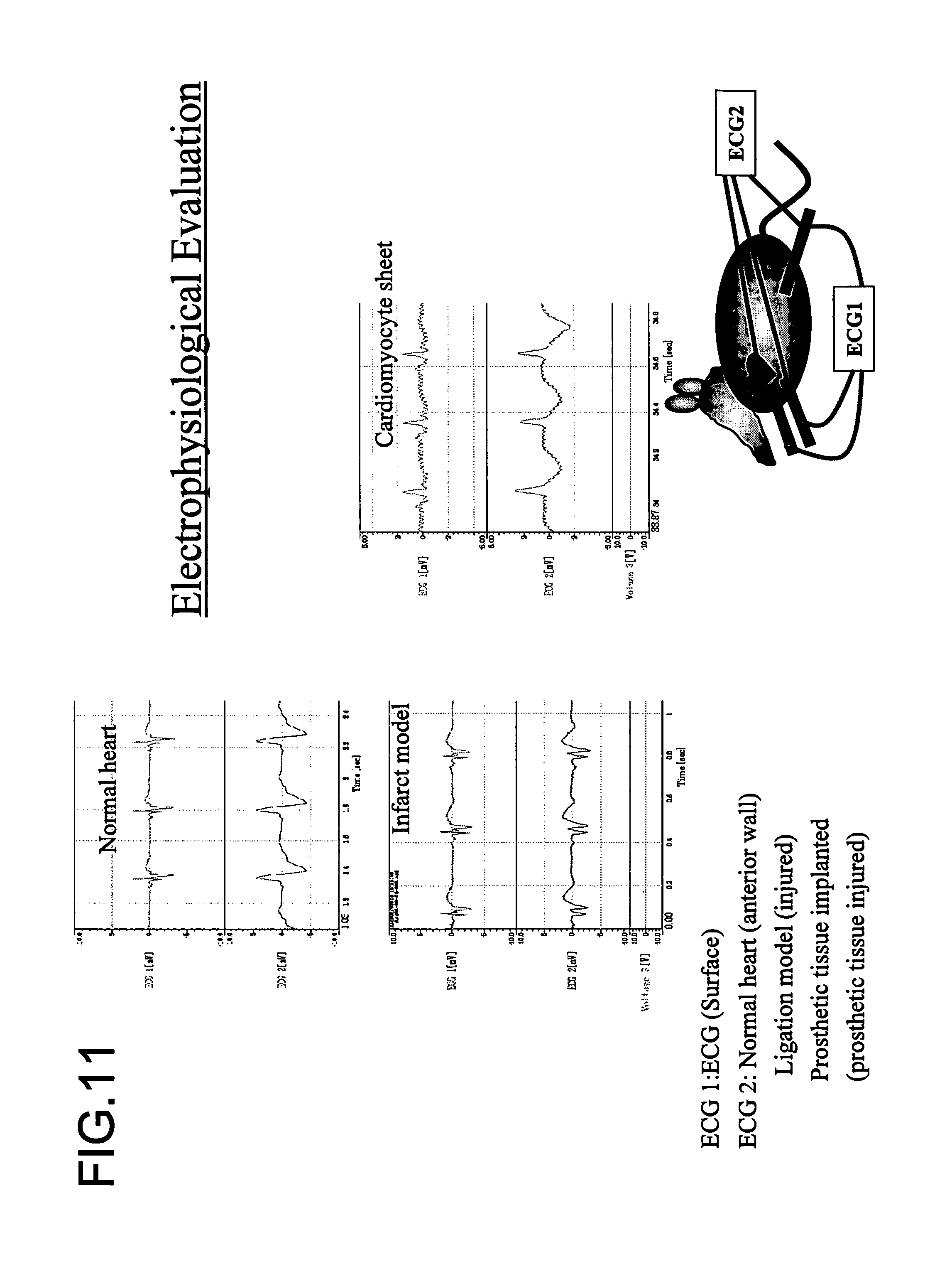 I Cinema Ihd 901 Wiring Diagram