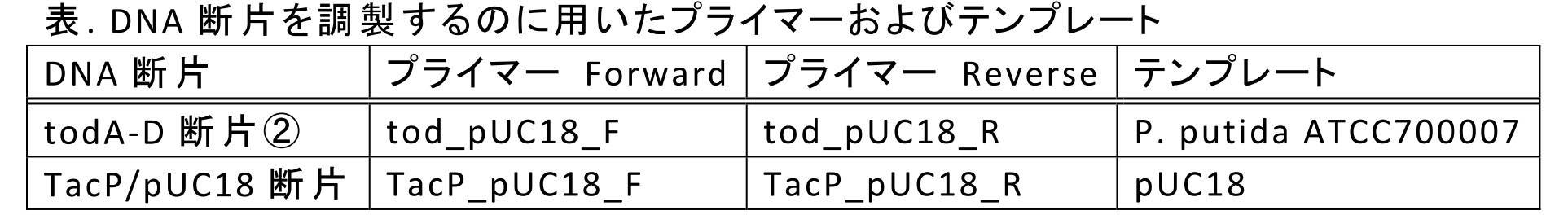 Figure JPOXMLDOC01-appb-T000067
