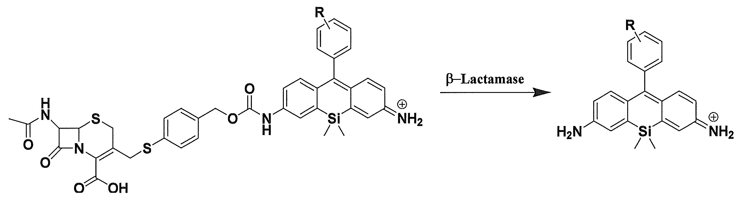 Figure JPOXMLDOC01-appb-C000021
