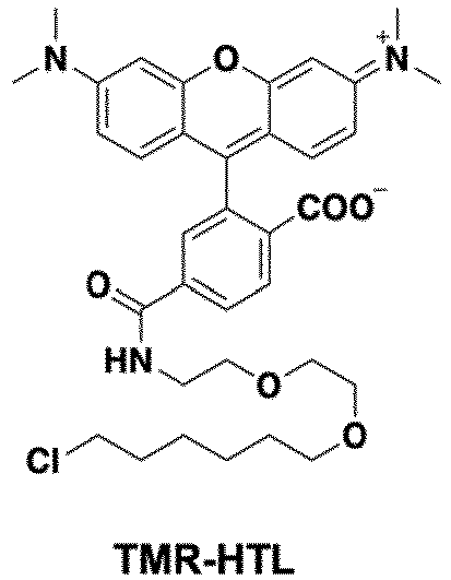 Figure imgb0160