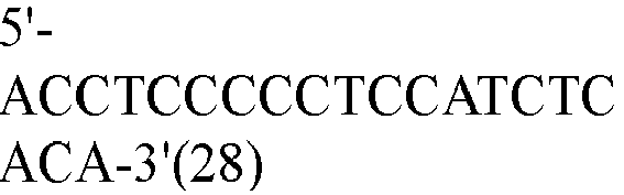 Figure imgb0028