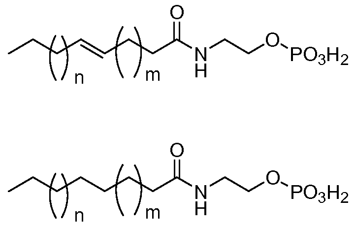 Figure imgf000019_0001