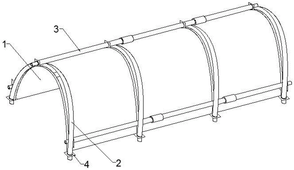 Figure 202010339931