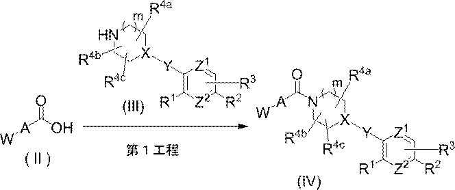 Figure JPOXMLDOC01-appb-C000016