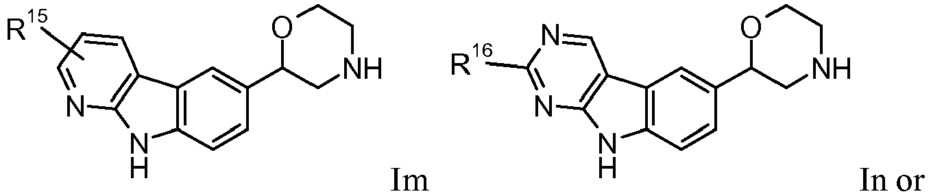 Figure imgb0013