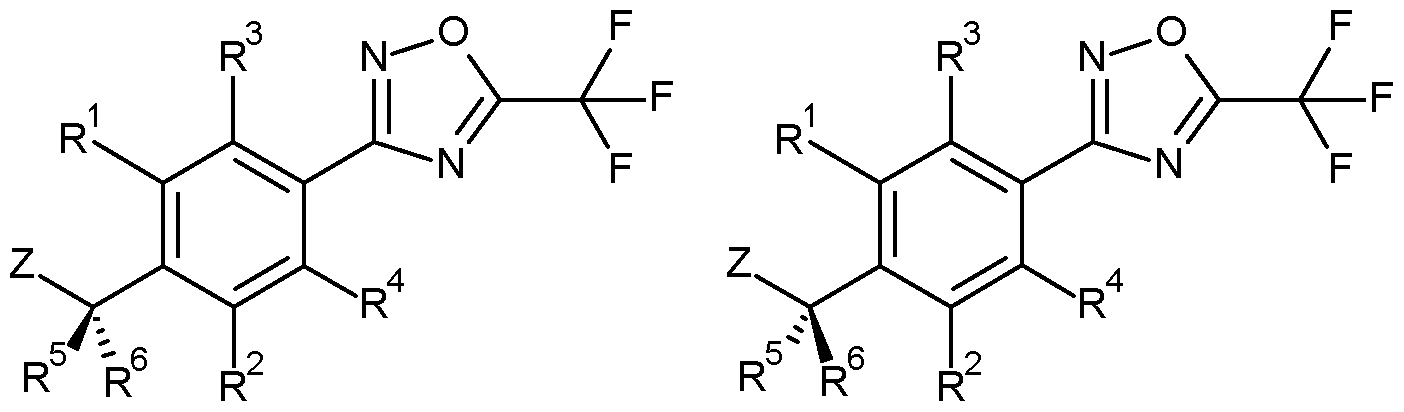 Figure imgf000008_0002