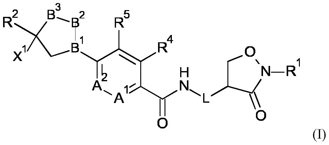 Figure imgf000031_0001