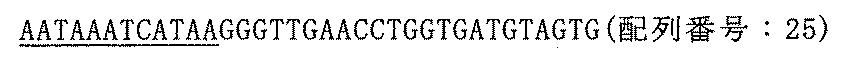 Figure 0006196968