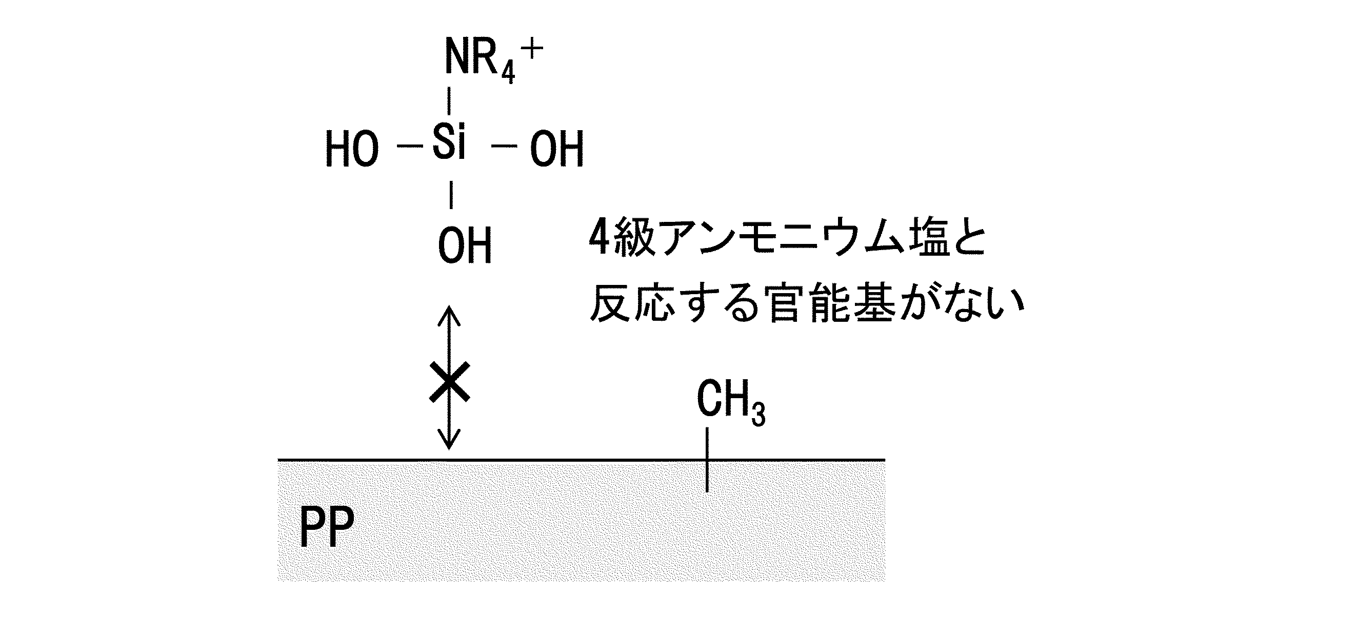 Figure JPOXMLDOC01-appb-C000013