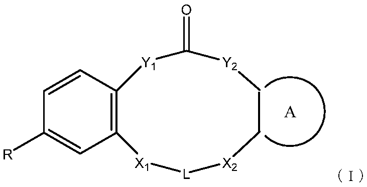 Figure JPOXMLDOC01-appb-C000011