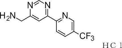 Figure JPOXMLDOC01-appb-C000314