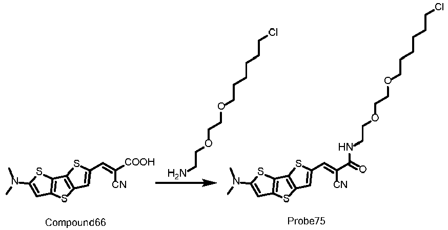 Figure imgb0127