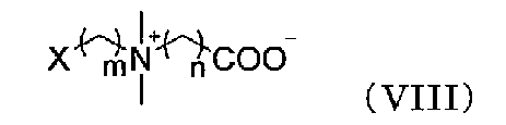 Figure JPOXMLDOC01-appb-C000020