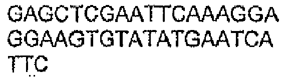 Figure imgb0019