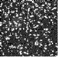 Figure imgb0140