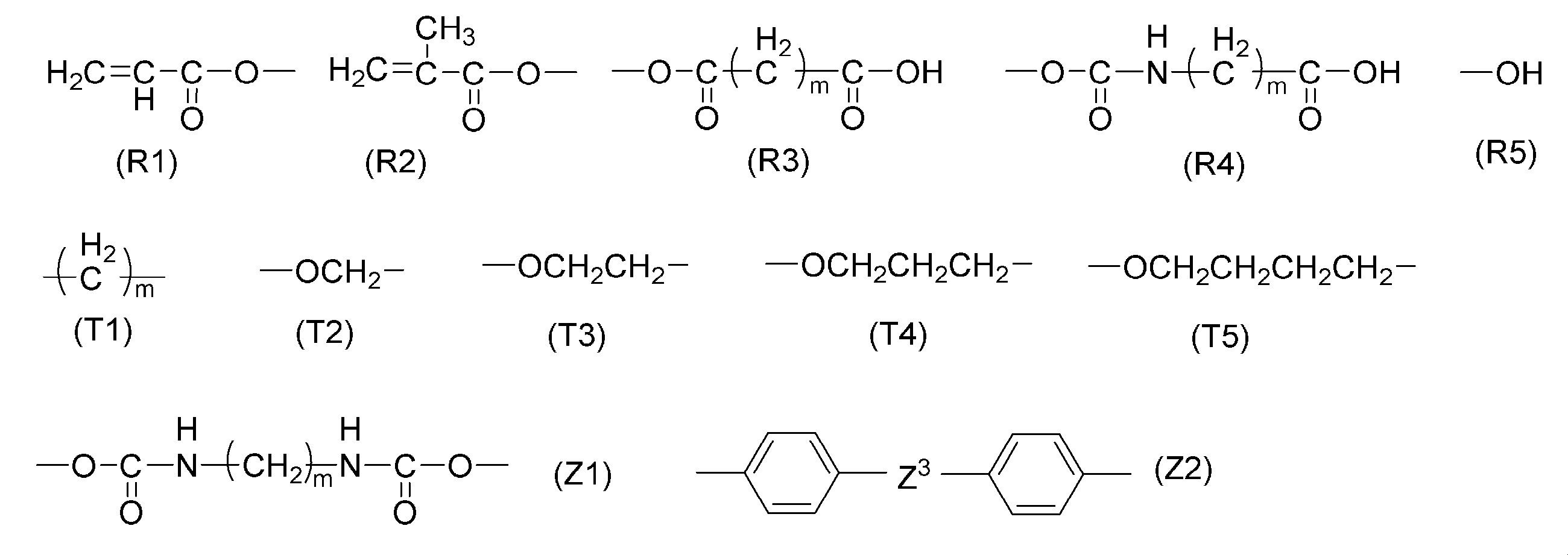 Figure JPOXMLDOC01-appb-C000040