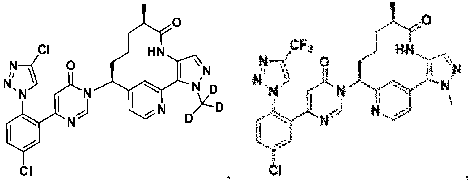 Figure imgb0013