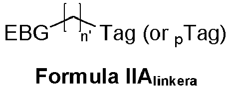 Figure imgb0010
